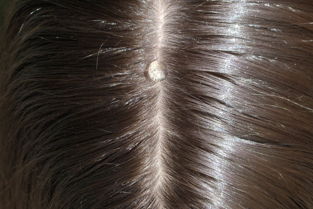 A centre part in dark brown hair with a single clear drop resting on the scalp line