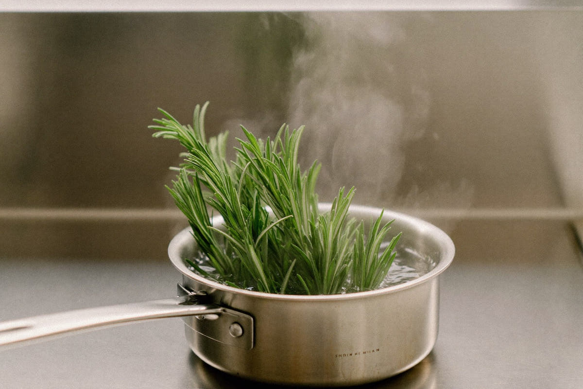 Fresh rosemary sprigs simmering in a small saucepan of water on a stove